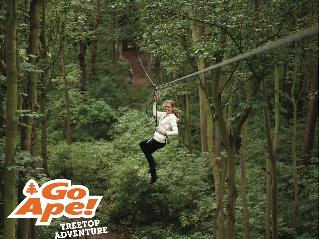 Go Ape Zipline & Adventure Park-印第安纳波利斯必去景点