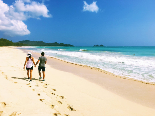 Escape Waikiki Tours