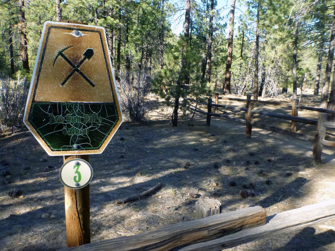 Holcomb Valley Tour-Fawnskin必去景点