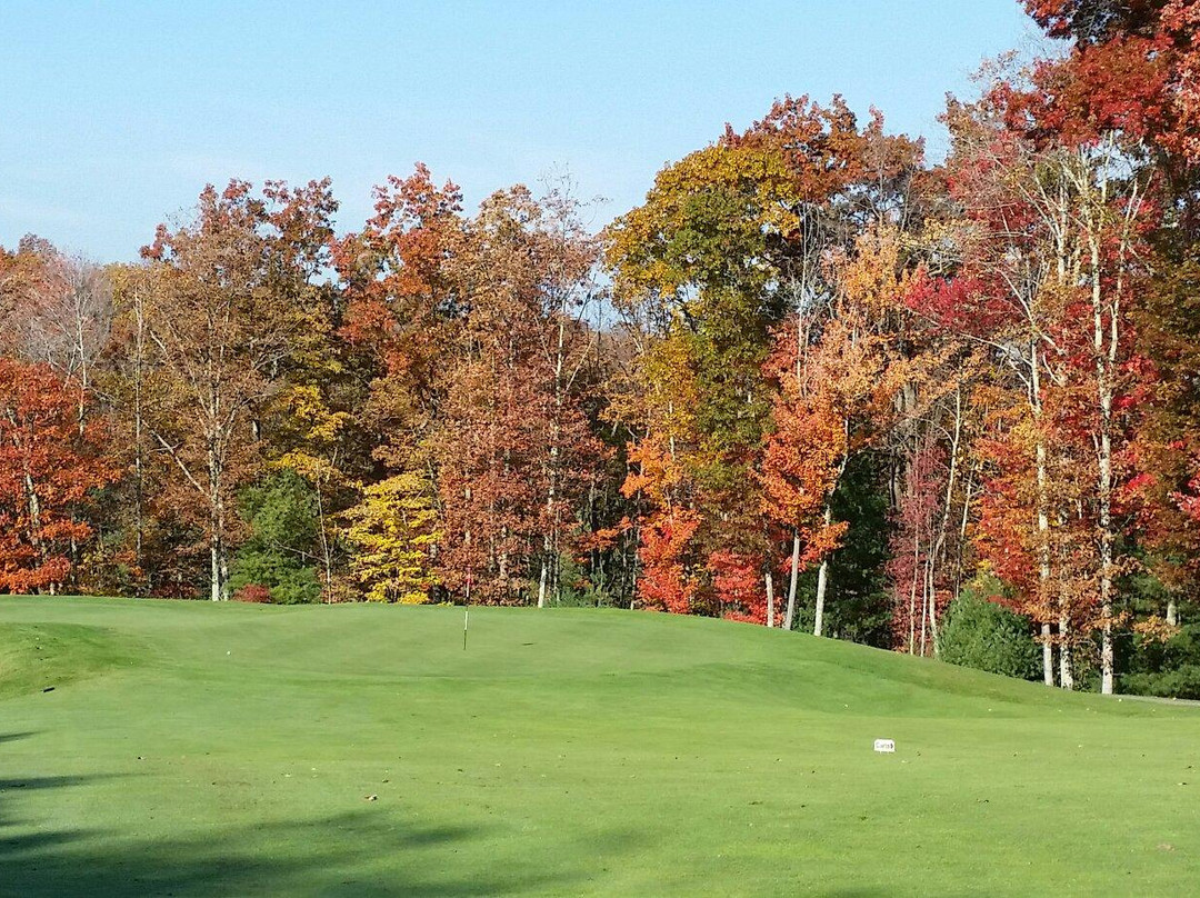Stonehaven Golf Course景点图片