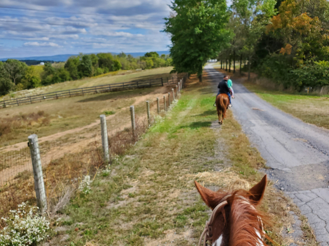 Double H Stables-弗兰特罗亚尔必去景点