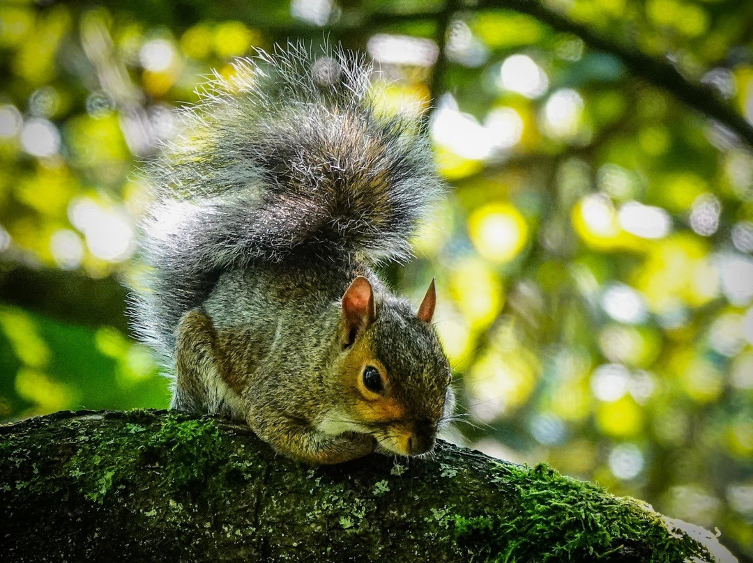 Hill Top Slaithwaite Reservoir-Slaithwaite必去景点