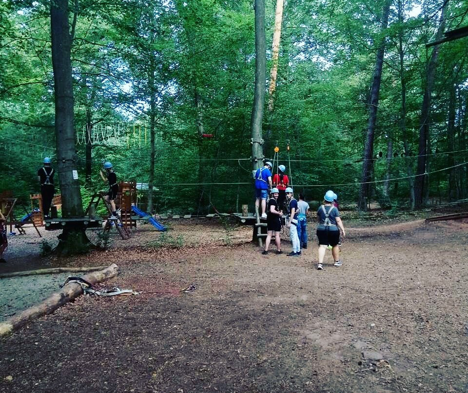 K1 Waldseilpark景点图片