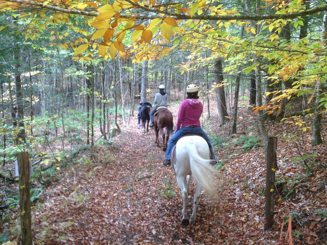 D-N-D Stables Guided Trail Rides-East Burke必去景点