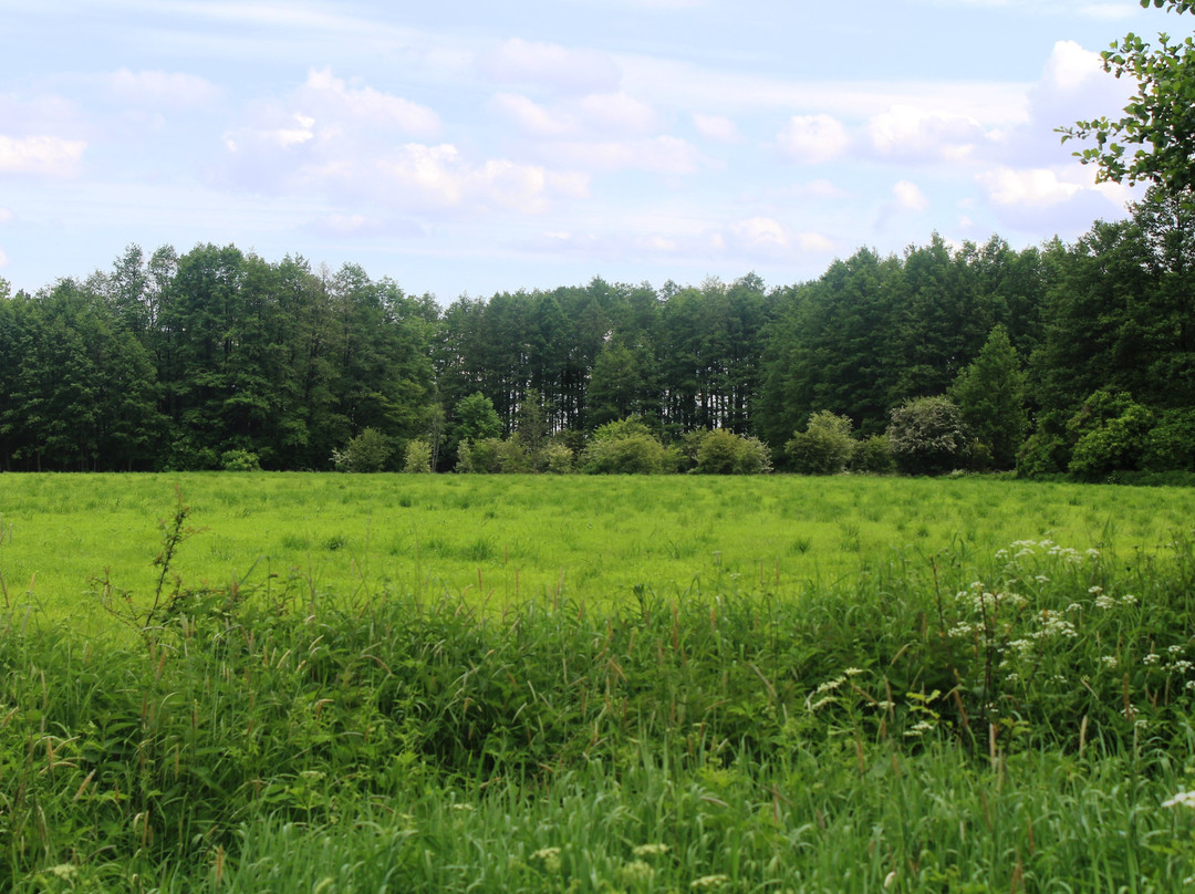 Port Sztynort-Wegorzewo必去景点