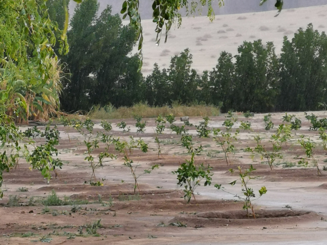 AlUla Museum-AlUla必去景点