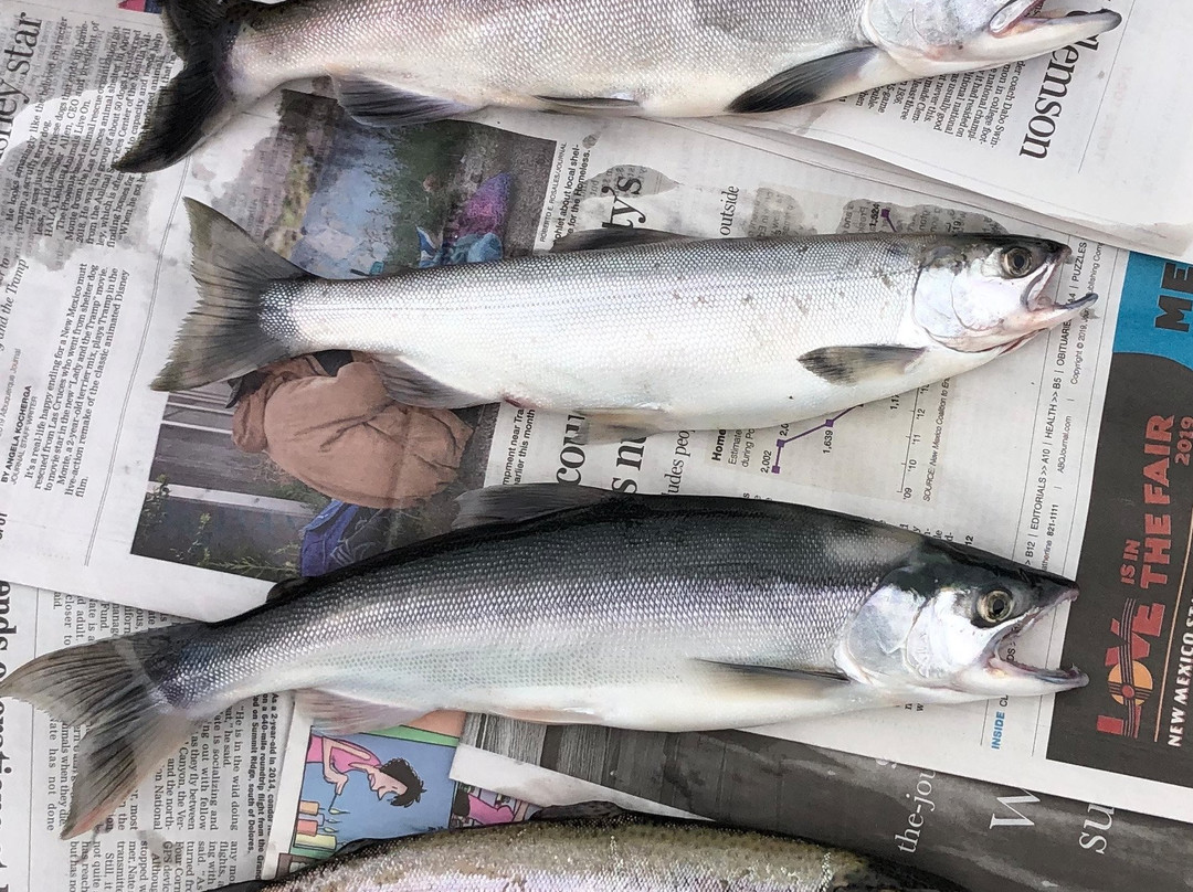McPhee Reservoir-多洛雷斯必去景点
