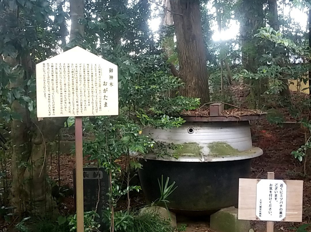 Daiho Hachiman Shrine景点图片
