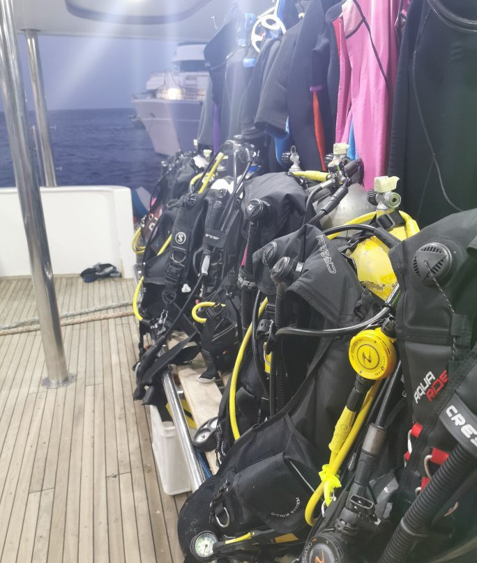 United Divers-Safaga必去景点