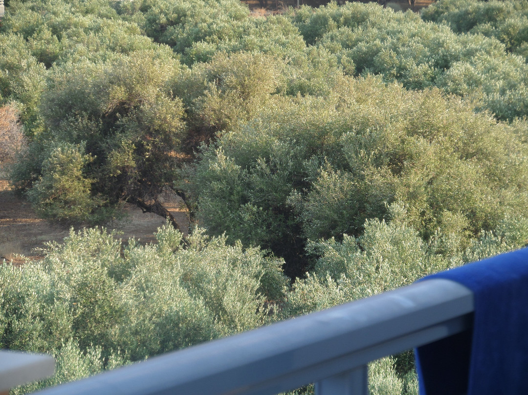 Kleanthi Studios & Apartments主图