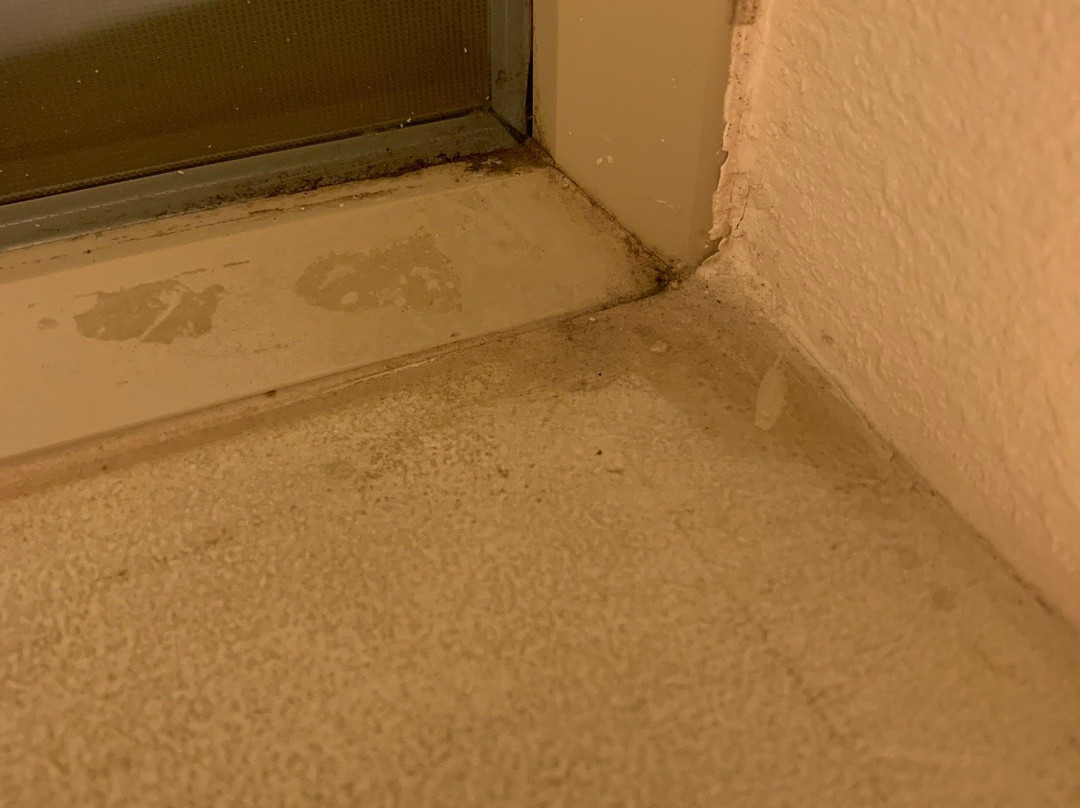 费尔法克斯旅馆主图