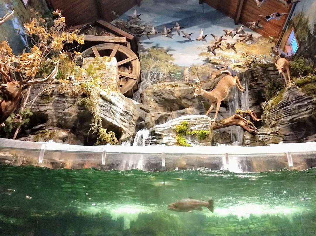 Bass Pro Shops-布兰森必去景点