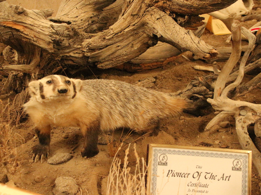 Wind River Heritage Center-Riverton必去景点