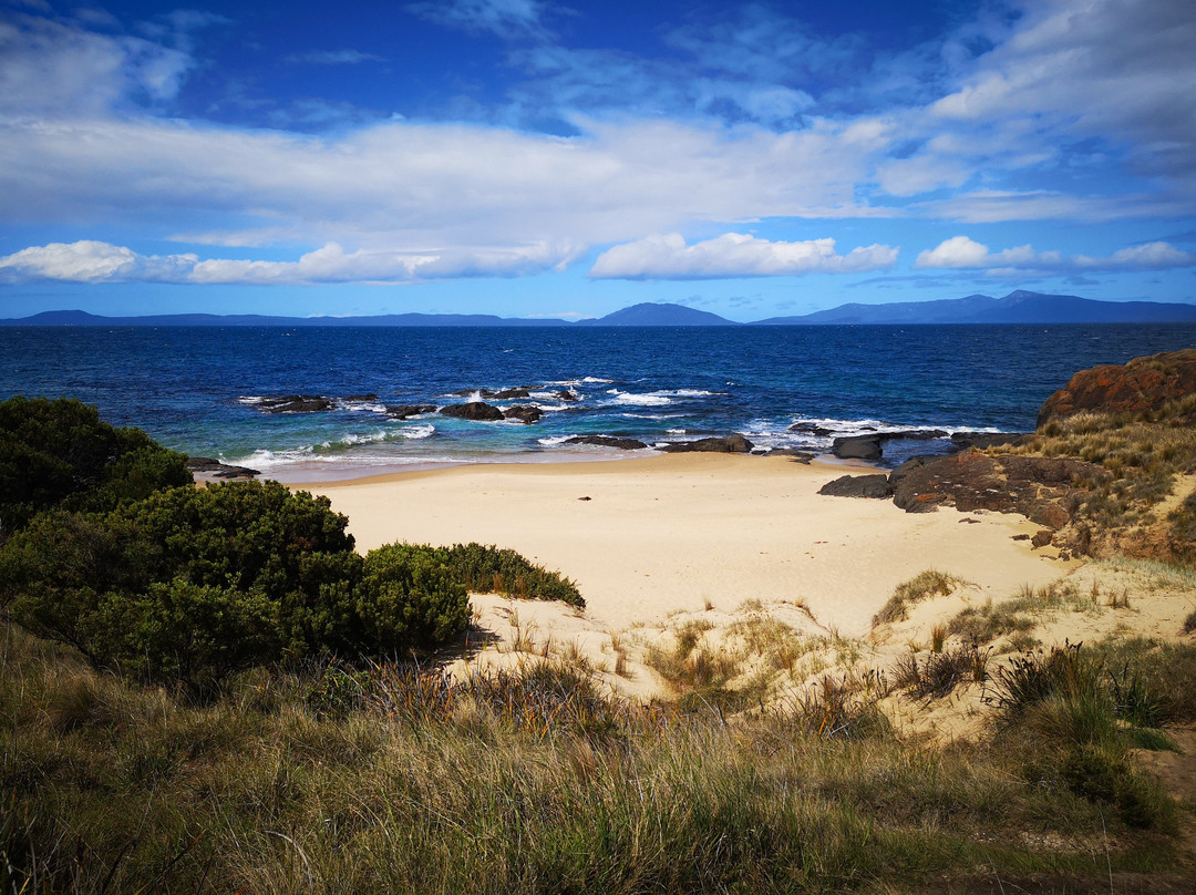 Spiky Beach Conservation Area景点图片