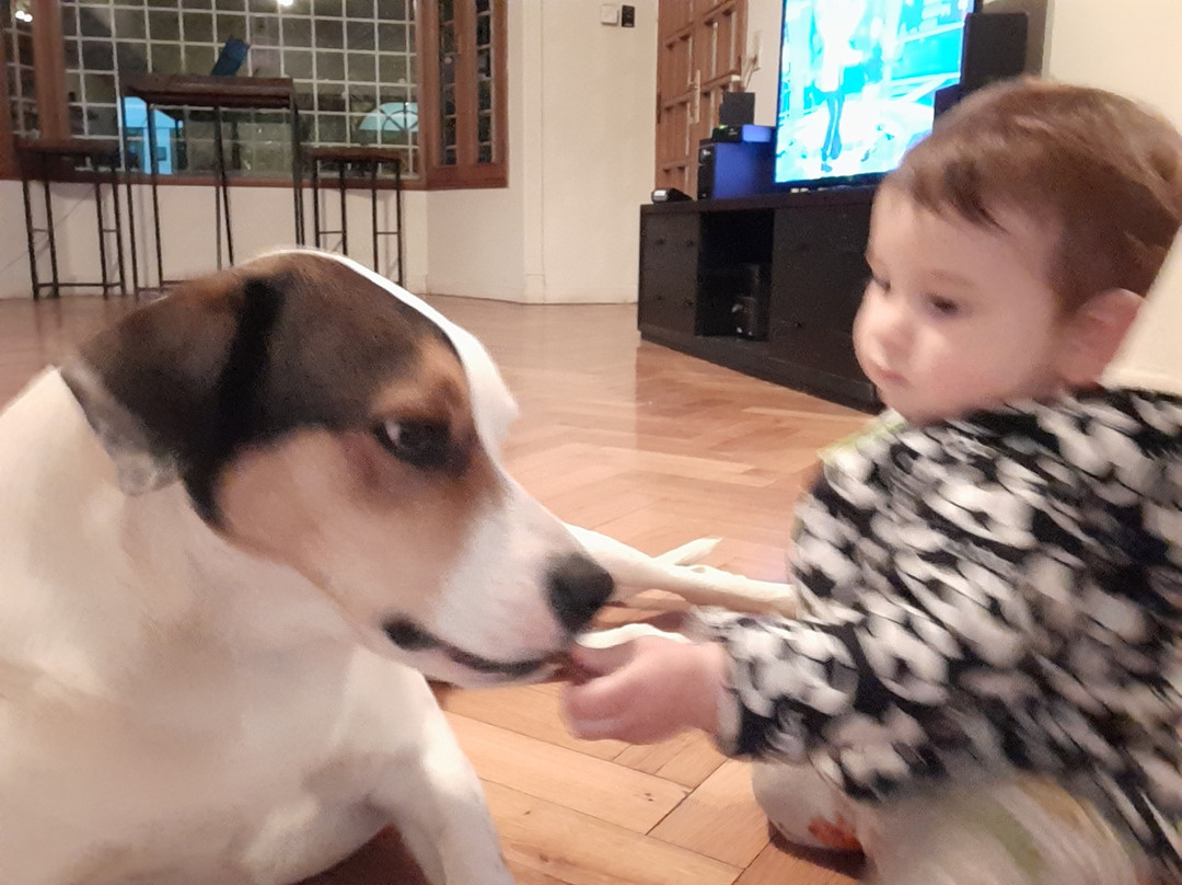 Tanino Guest House主图