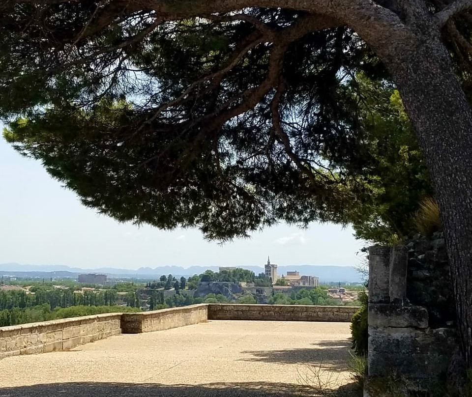 Fort Saint-andré景点图片