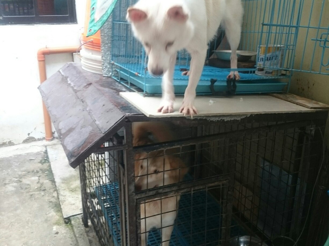 Carmona Municipal Park-Carmona必去景点