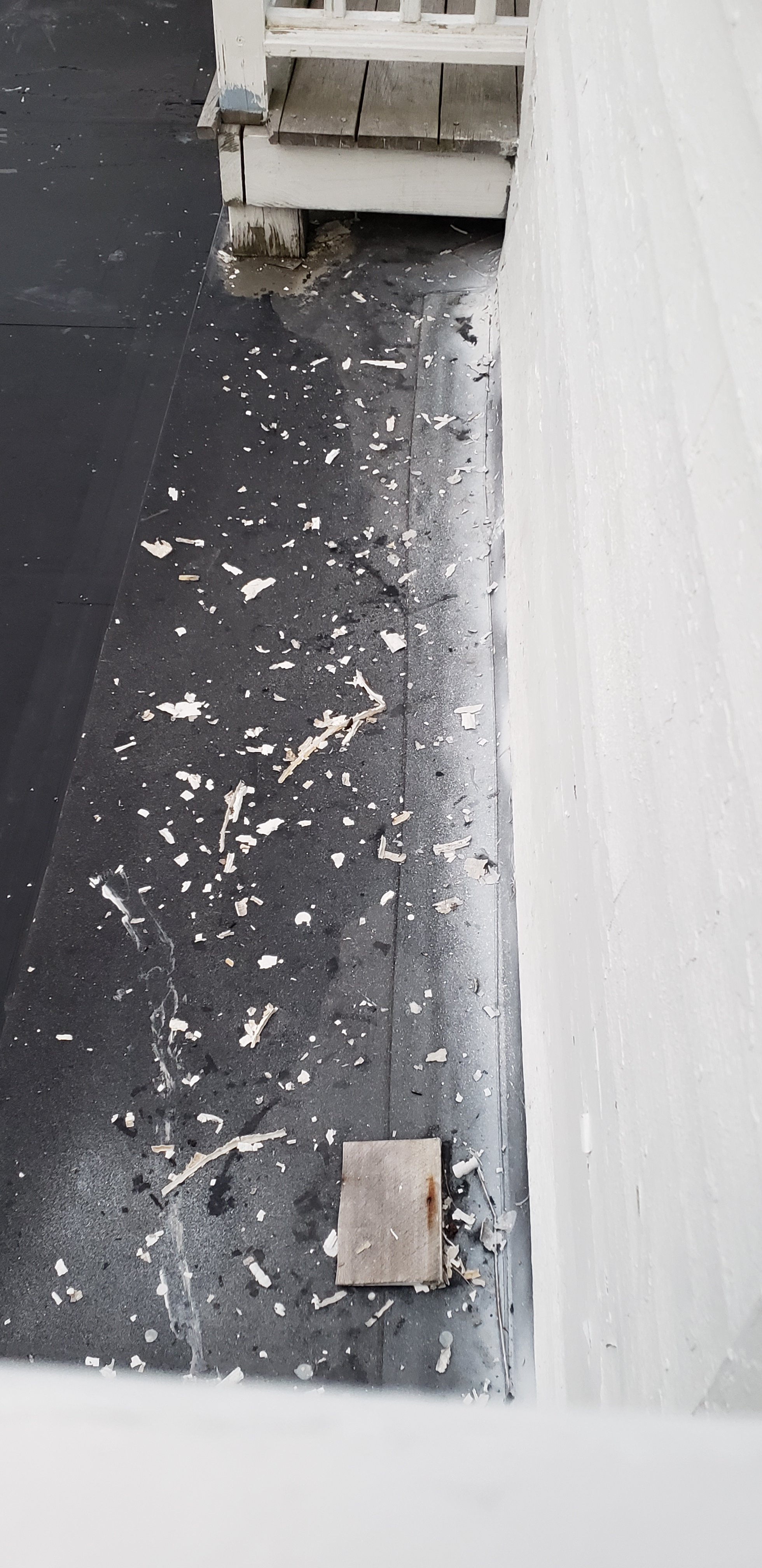 The Sunset Hill House-portrait