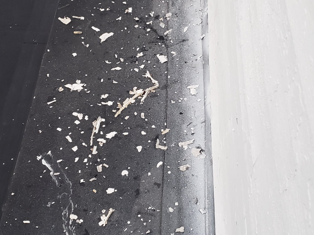 The Sunset Hill House主图