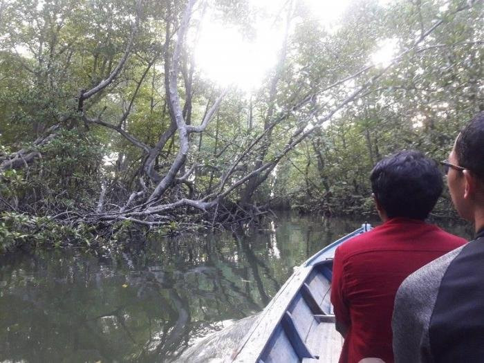 Mangrove Reserve Forest Area BSD景点图片