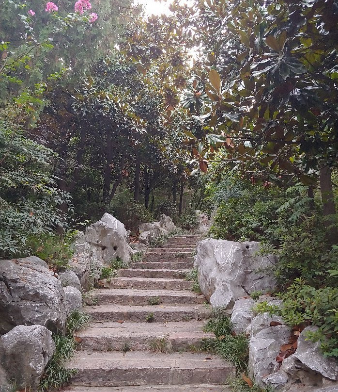 张公山公园-蚌埠市必去景点