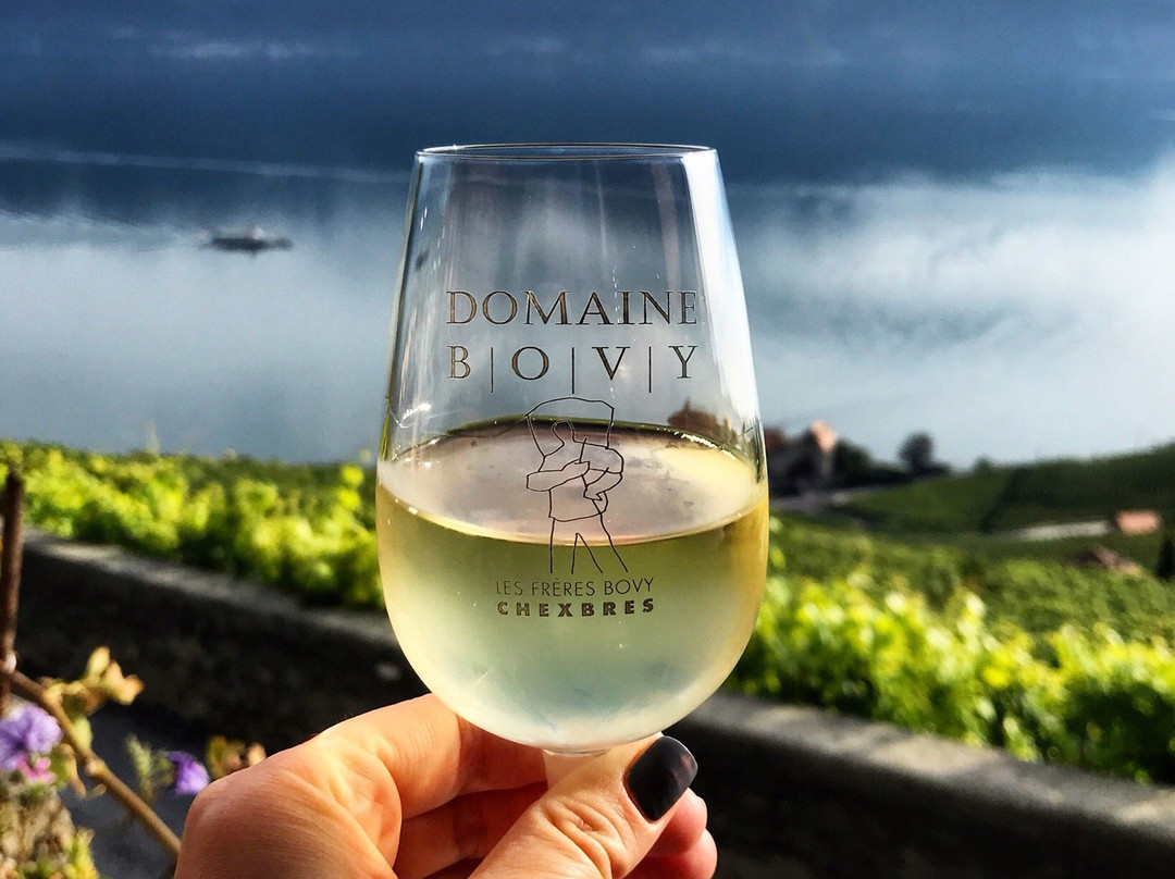 Domaine Bovy-谢布尔必去景点