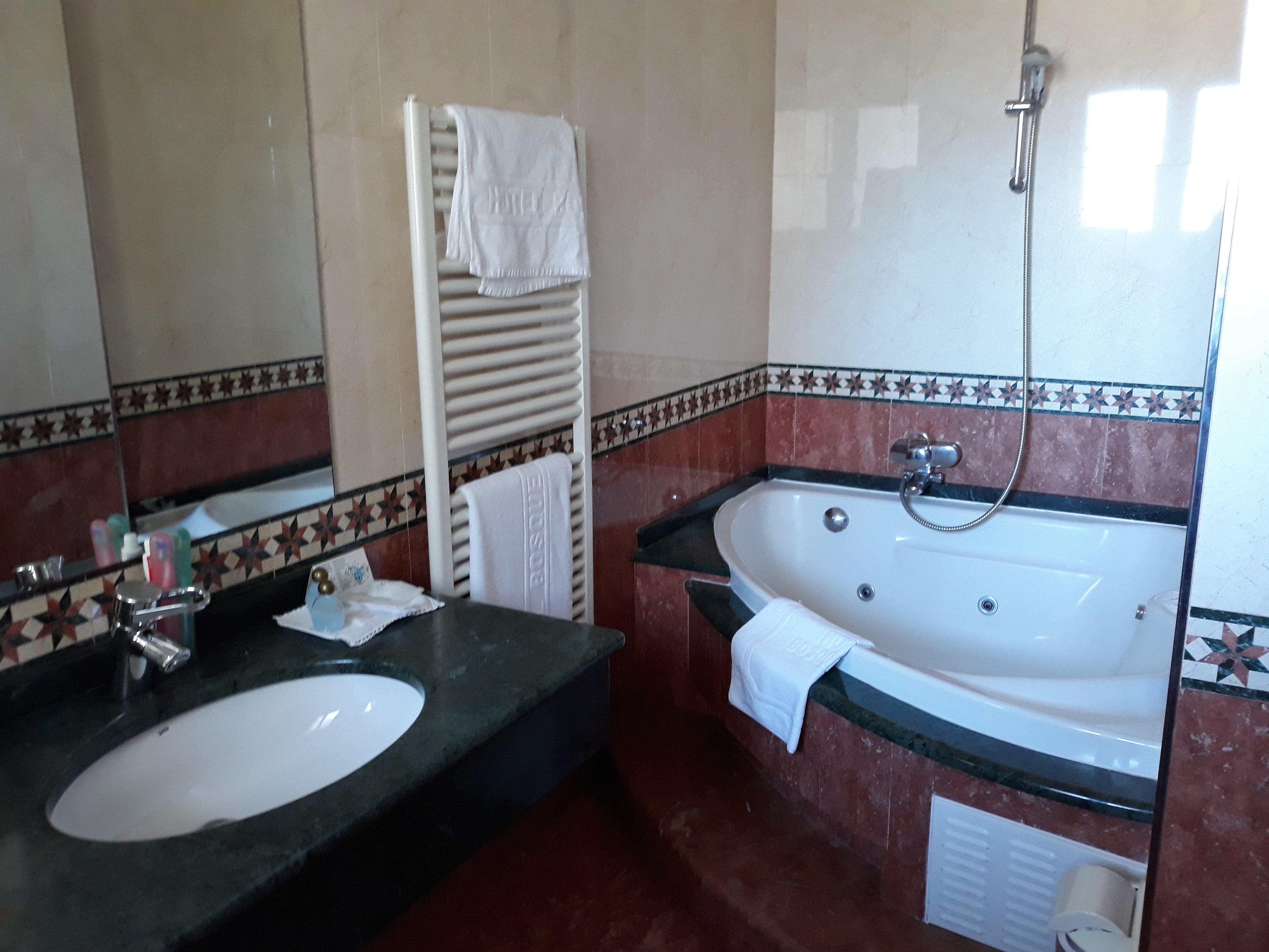 Hotel Bosque Mar-浴室