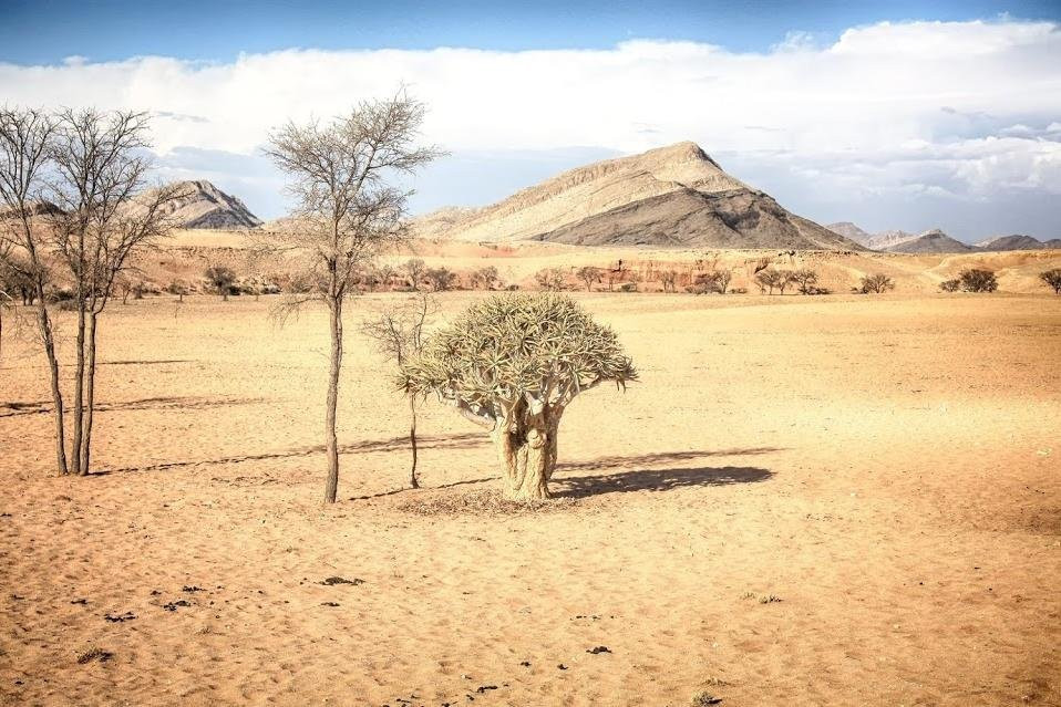 Sossus On Foot Desert Tours-苏丝斯黎必去景点