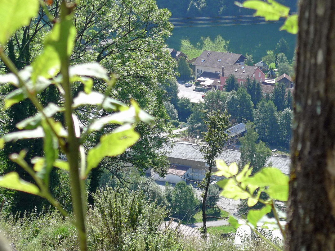 Vosges旅游攻略图片
