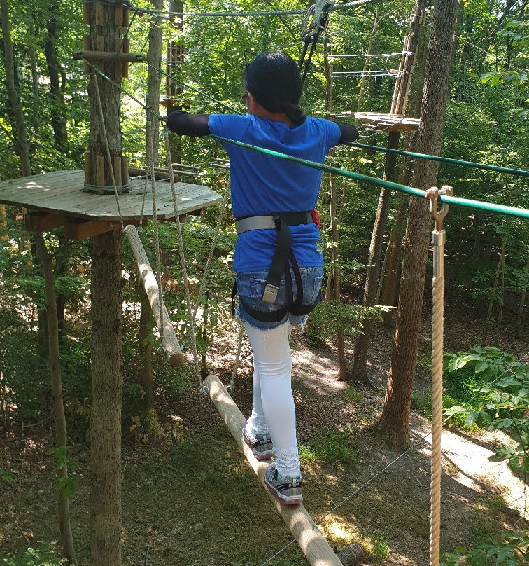 Go Ape Zipline & Adventure Park景点图片