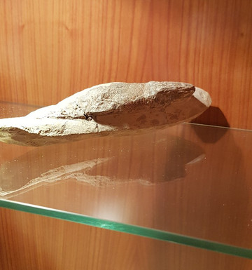 GeoLab Museo Laboratorio di Scienze della Terra-San Gemini必去景点