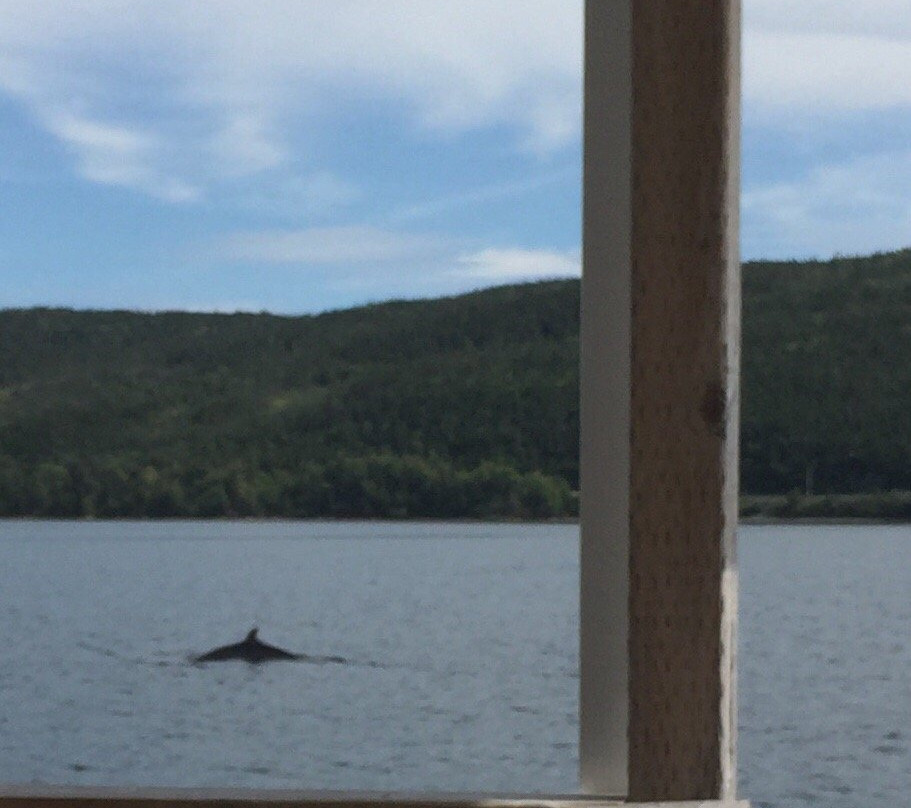 By The Sea Inn & Cafe主图