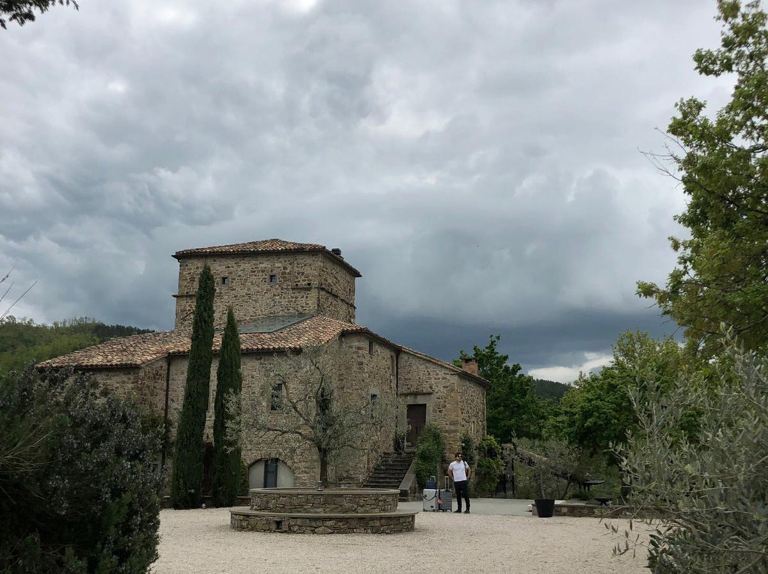 Torre di Moravola主图