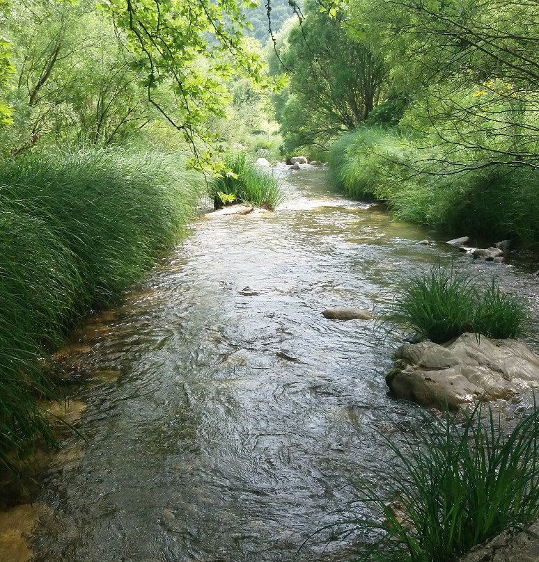 Andrea Sofi Guesthouse主图