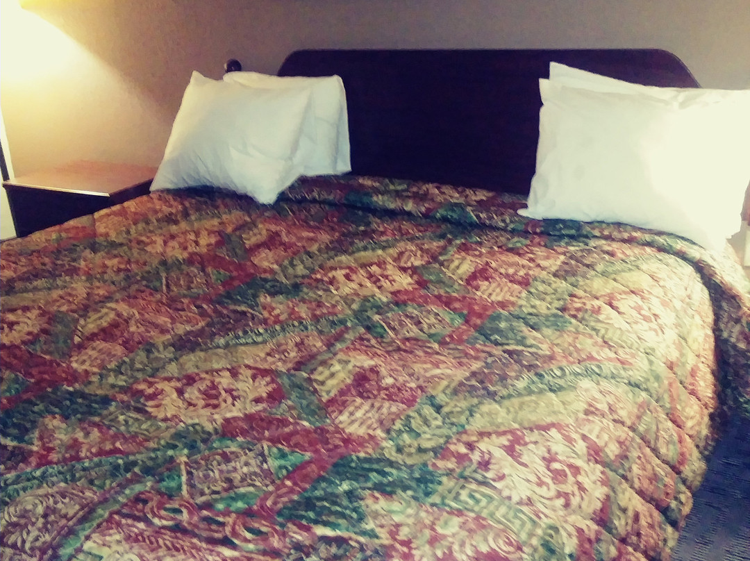 Super 8 by Wyndham Elberton主图