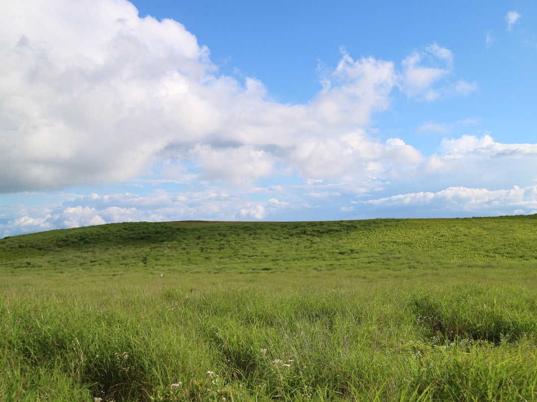 Kirigamine Nature Conservation Center景点图片