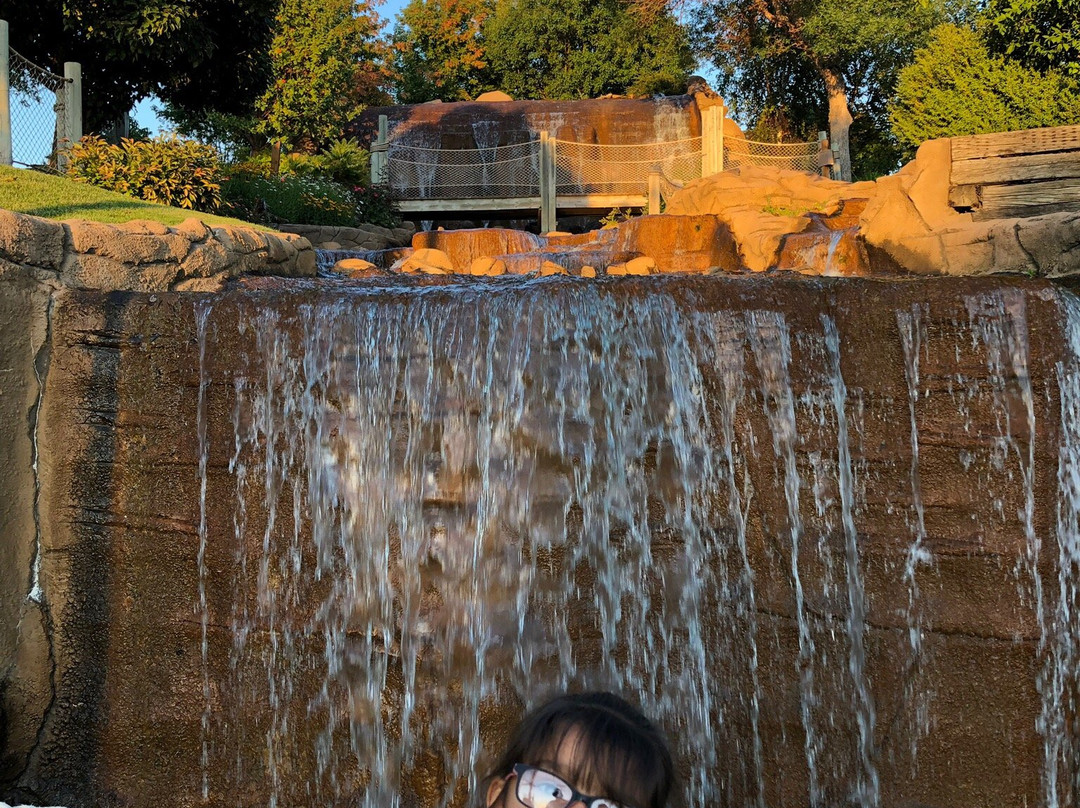 Pirate's Cove Adventure Golf景点图片