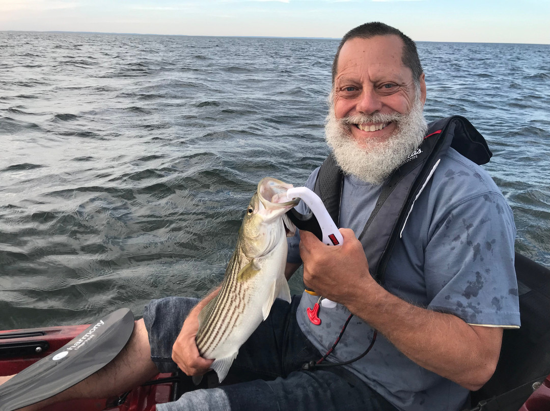 Plage Youghall Beach-Bathurst必去景点