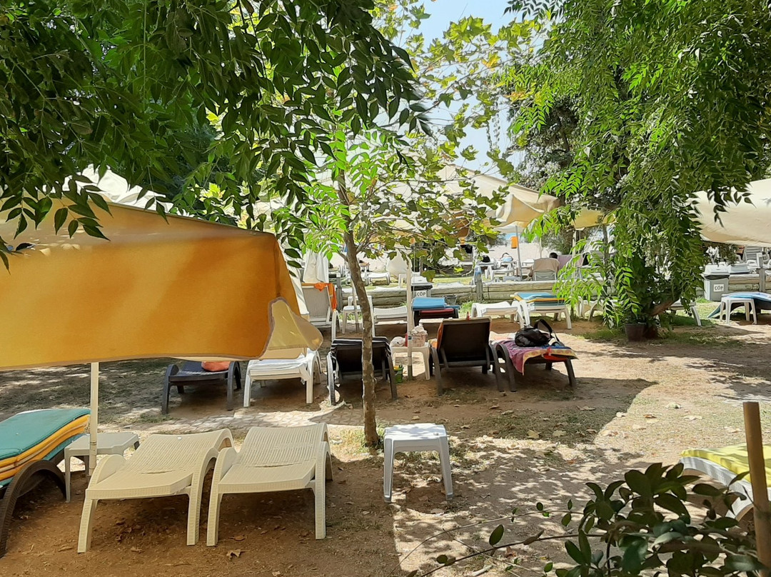 Marika Beach Club景点图片
