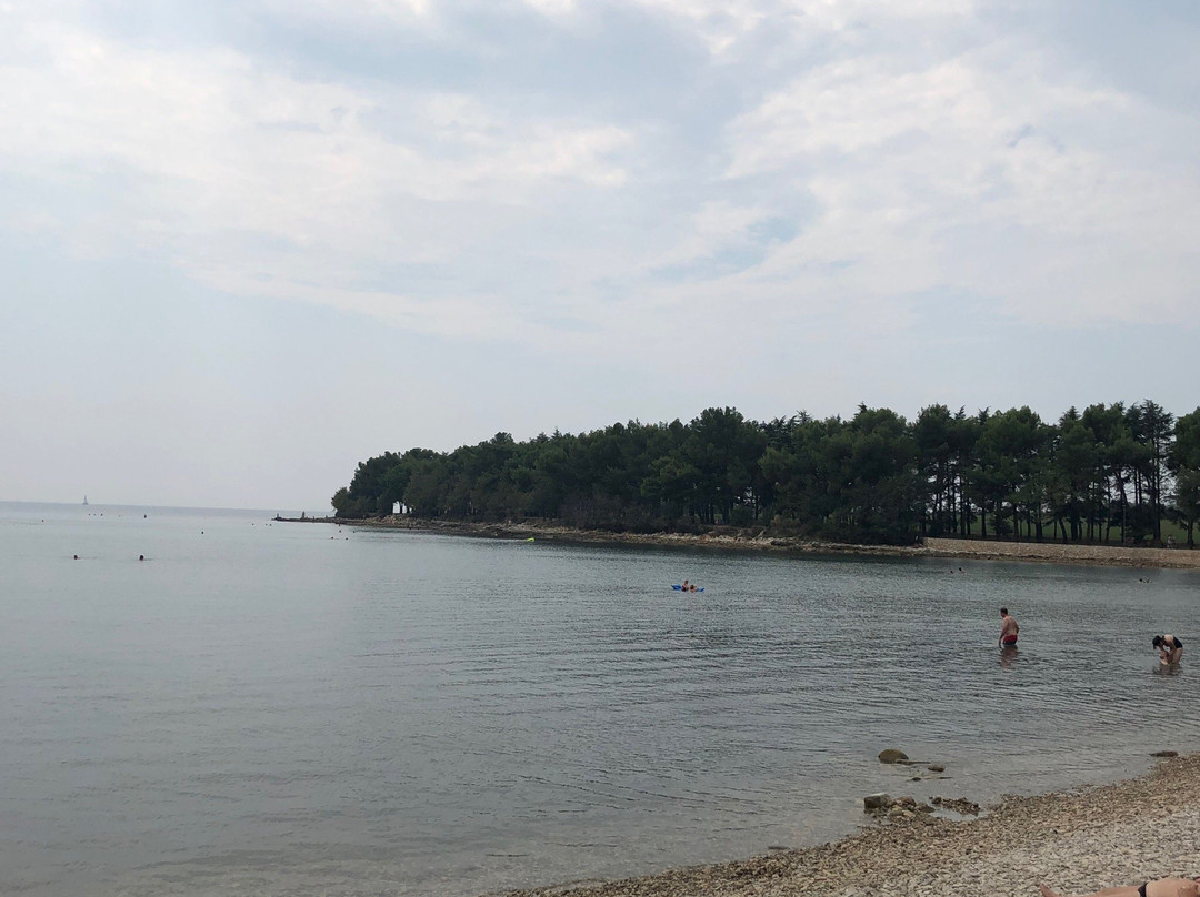 Pinesta Beach-诺维格拉德必去景点