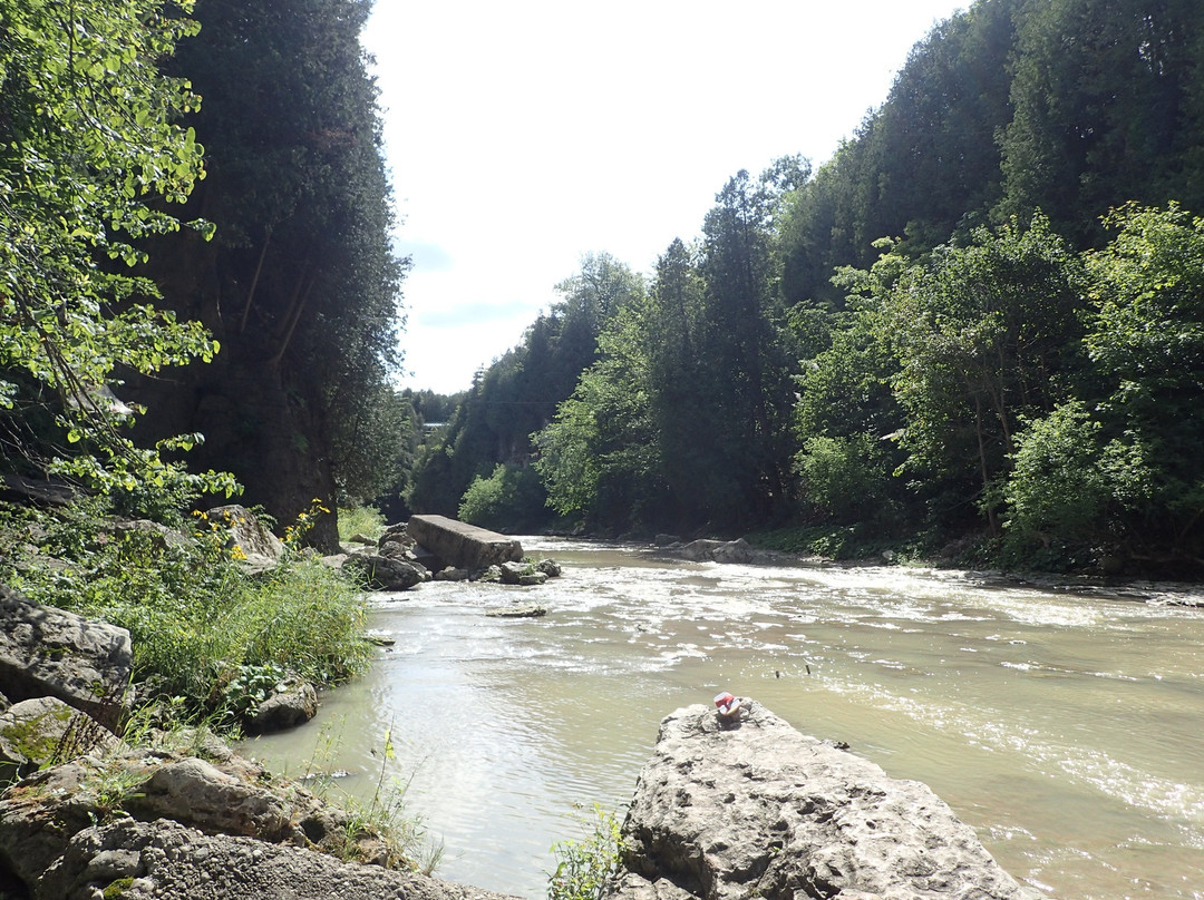 Elora Quarry Conservation Area-伊劳拉必去景点