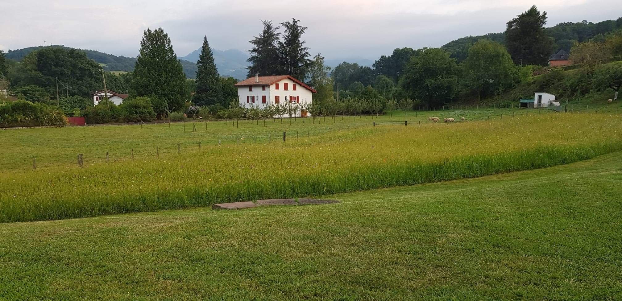 Maison Laia-官方
