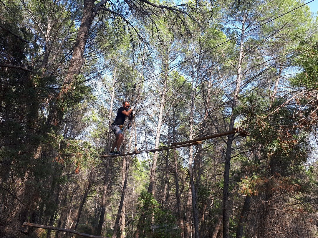 Parc aventure Flay Forest-Flayosc必去景点