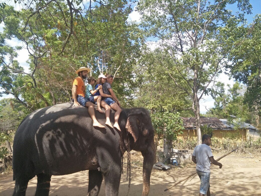 Misty Ella by rts-srilanka.com-埃勒必去景点