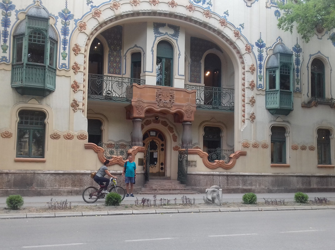 Modern Art Gallery Likovni Susret景点图片