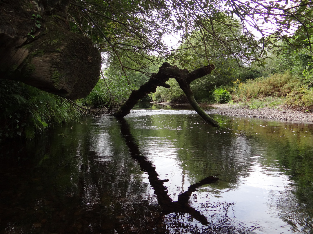 Glengariff Woods景点图片