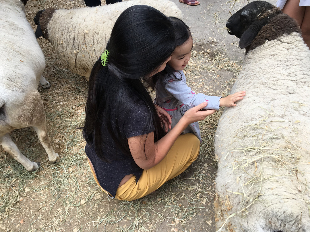 Cia dos Bichos-Cotia必去景点