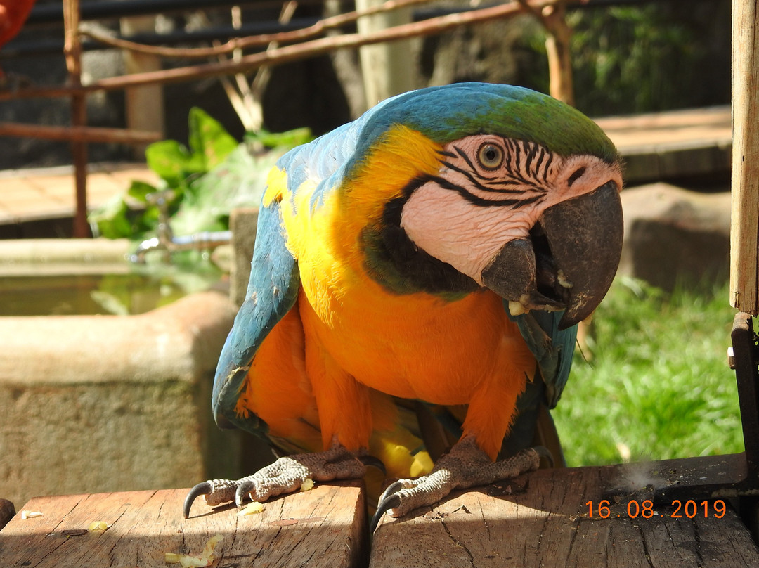 BioParque Vale Amazônia-Parauapebas必去景点