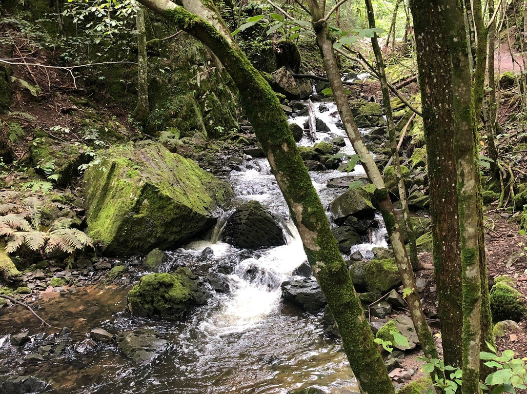 The River Ride Jungletour-奥斯陆必去景点
