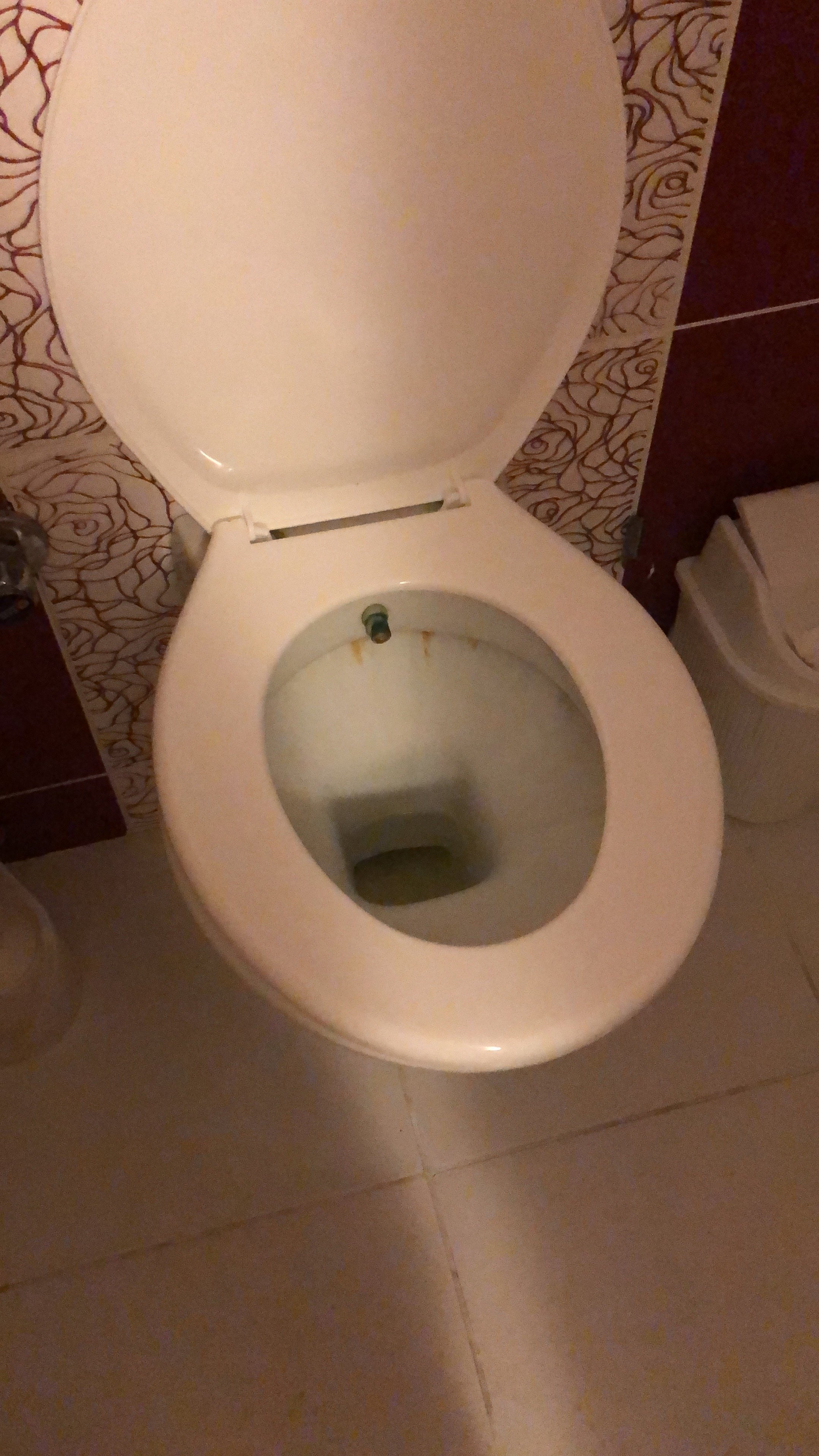 Ephesus Hitit Hotel-官方